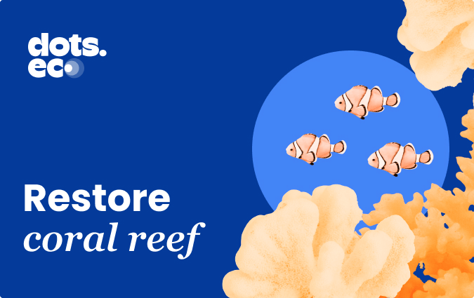 Carte cadeau Restaurer les récifs coralliens