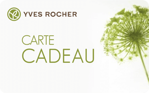 yves roch